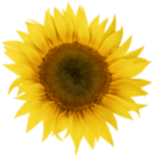h1-image-slider-02.png