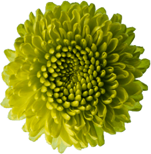 h1-image-slider-11-min.png