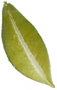 h1-image-slider-15-min.png