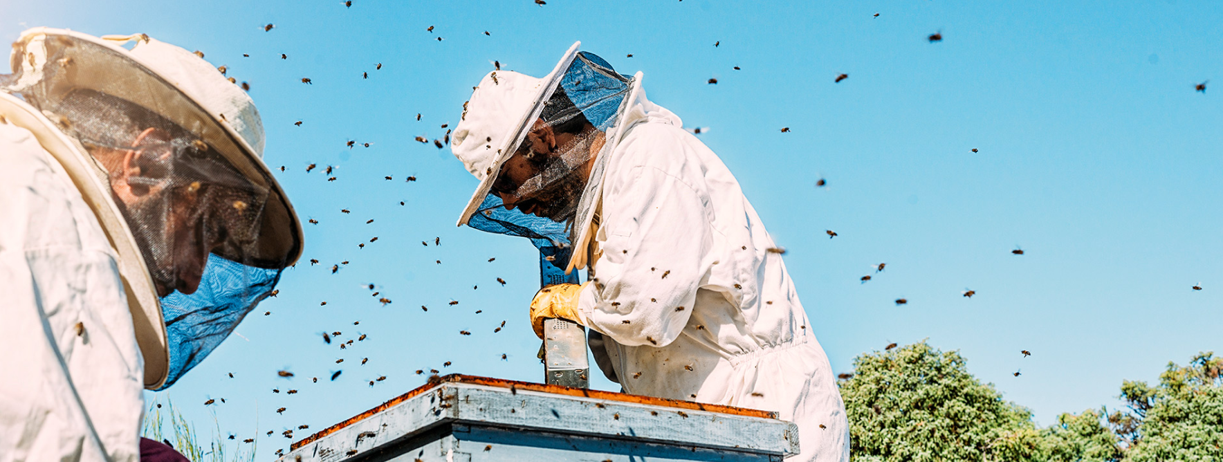 Our Beekeeper 2 banner about beekeepers min 1